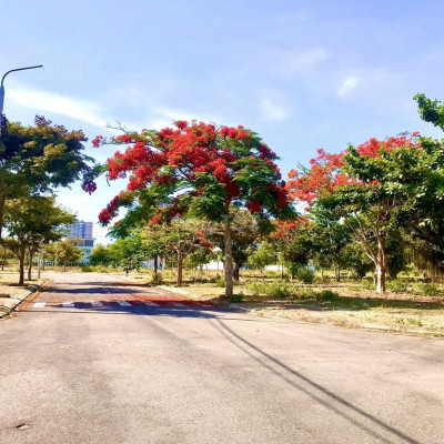 Sụp hầm e hoa hậu Green City giá siêu tốt chokhách