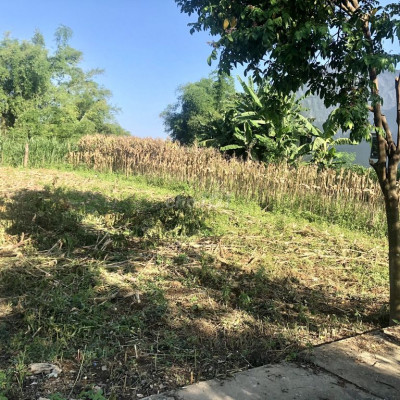 đường thông thoáng 3 lô 5xx/lô view lúa nở hậu 6m