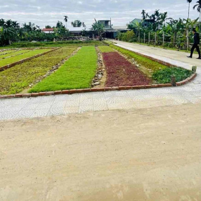 đất đô thị 8tr/m2 gần chợ ngay trung tâm thị trấn