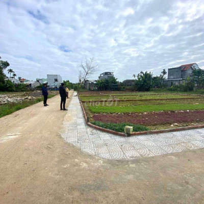 Cần bán nhanh 2 lô liền kề. Đất ở đô thị. Ái Nghĩa