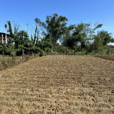 Đường rộng diện tích gần 300m2 sát Nam Phước