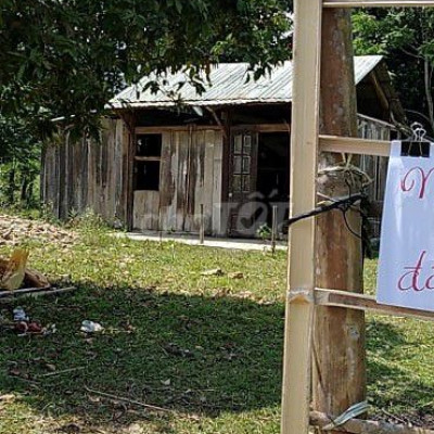 BÁN ĐẤT 600M2 TẶNG NHÀ GỖ 50M2