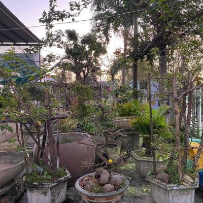 BÁN ĐẤT BÊ TÔNG KHU ĐÔ THỊ ĐIỆN THẮNG BẮC