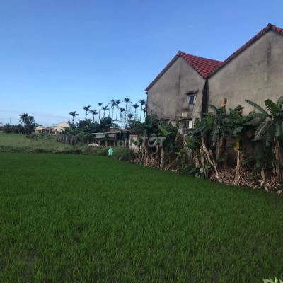 đất view lúa an mỹ cẩm châu hội an 10x20