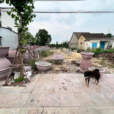 MT NGUYỄN TẤT THÀNH HỘI AN GIÁ TỐT