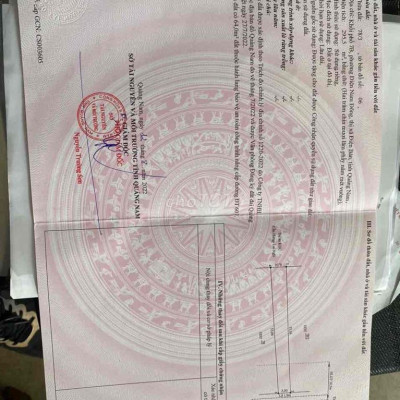 MT KINH DOANH AN DƯƠNG VƯƠNG HỘI AN GIÁ TỐT