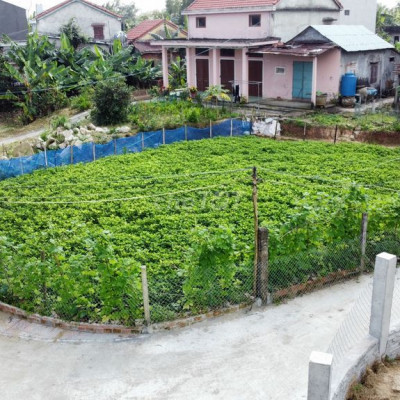 CHÍNH CHỦ BÁN NHANH LÔ ĐẤT TẠI ĐIỆN PHƯƠNG