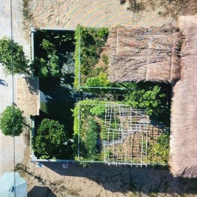 Cho thuê biệt thự xanh làm nhà ở , và Văn phòng