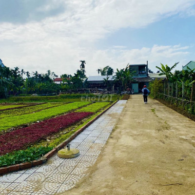 Hãy Mua Đât Ái Nghĩa để chờ đợi/ OĐT/197 m2/1.3 tỷ