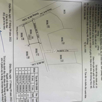 Siêu phẩm bán đất trồng cây điện tiến