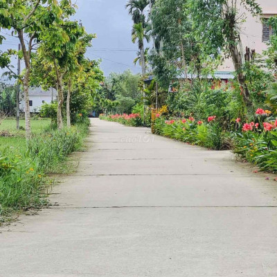 vài lô gần ngã ba vành đai bồ bồ chỉ 579tr