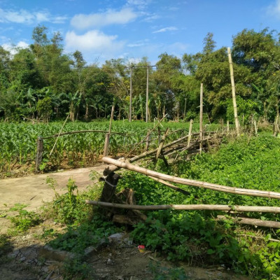 Cần tiền bán gấp đất ở giá rẻ 4xx đường 4m2