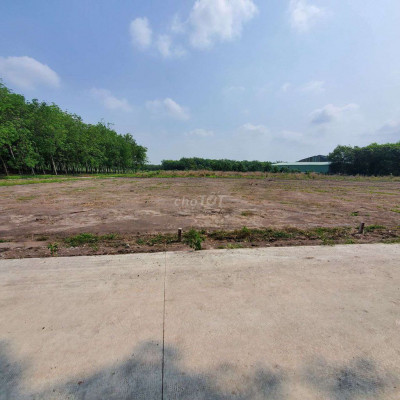 Phân lô Bán đất nghĩa trang phường điện dương.