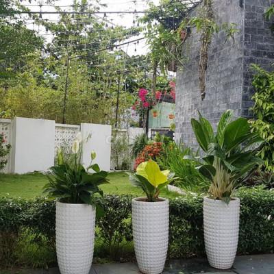 NHÀ NGUYÊN CĂN sân vườn -  Đường Nguyễn Chí Thanh