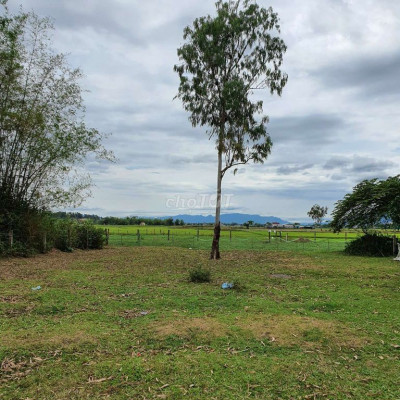 Đất Điện Tiến, Quảng Nam.