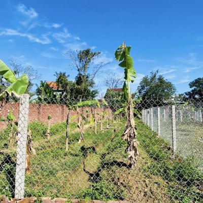 Bán nhanh lô diện tích nhà vườn 221m2 chỉ 6xx