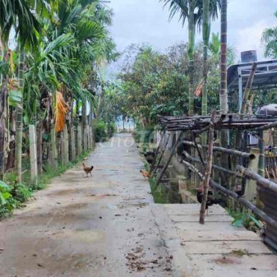 đất giá rẻ Đại Lộc Quảng Nam sổ hồng đầy đủ