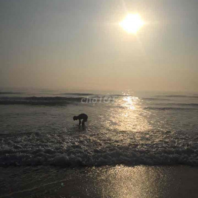 đất ven biển đường ô tô xuống biển giá đầu tư.