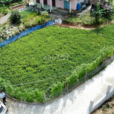 Đất Hợp Phân Lô Thăng BÌnh - Quảng Nam, 1,6 TR/m2