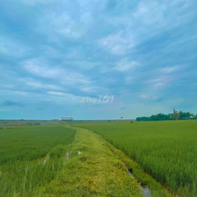 Bán 850 m2 View Đồng cực đẹp/Đường DH612 Thăngbinh