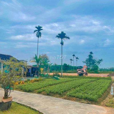 Bán cắt lỗ lô đất Mặt Tiền B13/ Đường Nhựa Kỳ Lam