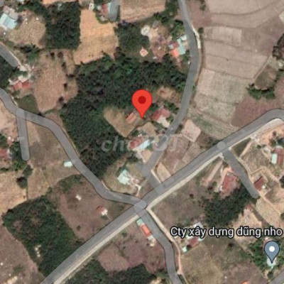 Bán hết sổ có 200m đất ở