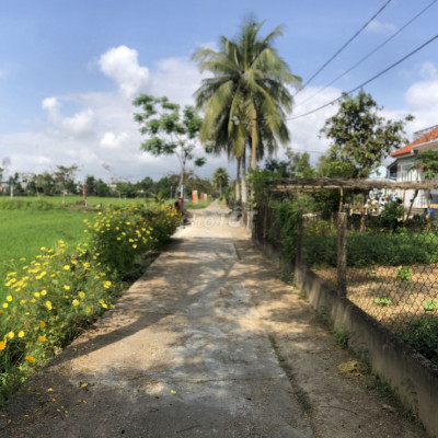 Đất Điện Bàn 100 m2/499 triệu, siêu rẻ