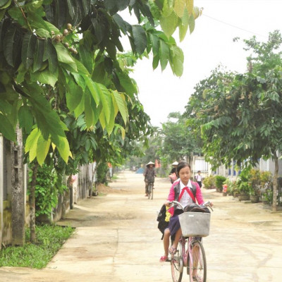 Chính chủ bán nhanh lô 300m2 10x30 đường thông 5m