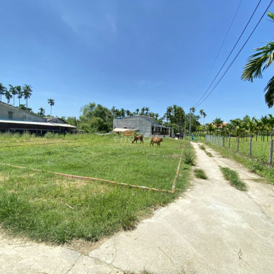 bán đất Châu Sơn Điện Tiến giá cực ưu đãi, cực rẻ