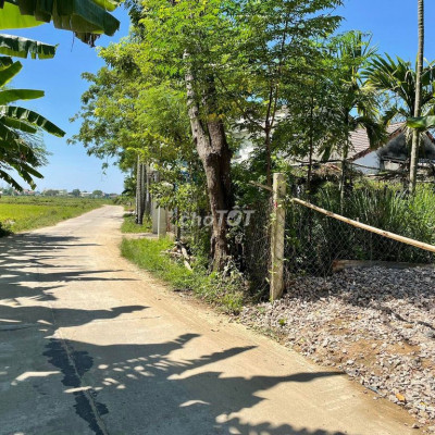 Duy Vinh sát Cẩm Kim giá rẻ ở đầu tư, Chốt ngay