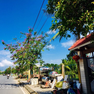 BÁN ĐẤT ĐÔ THỊ TRUNG TÂM THỊ TRẤN ÁI NGHĨA