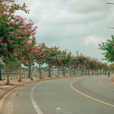 Bán 4 lô độc quyền đối diện công viên Hội An 17tr