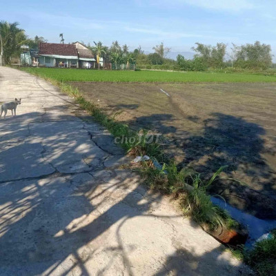 chính chủ cần bán đất đường bê tông3m giáp halam