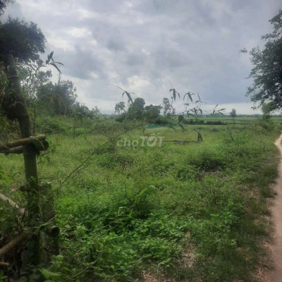 Sửa nhà bán lô đất sát công nghiệp hà lam chợ được