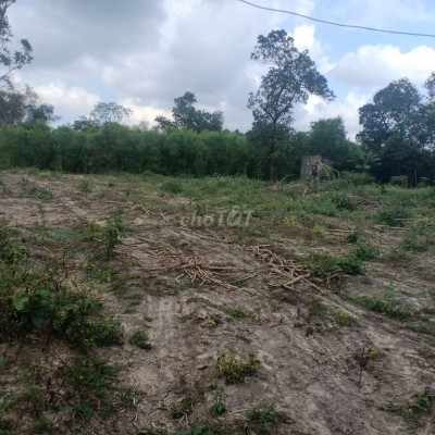 CHÍNH CHỦ BÁN ĐẤT GIÁ RẺ QUẾ MỸ