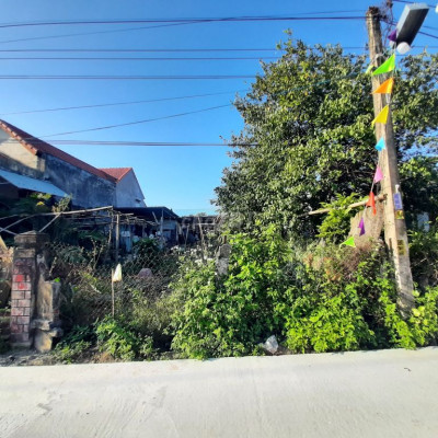 Đất điện nam bắc bê tông chính gần trần thủ độ 50m