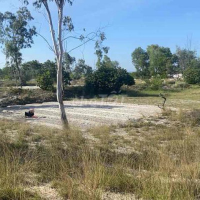 BÁN ĐẤT TRỒNG CÂY THÔN BÌNH PHỤC - THĂNG BÌNH