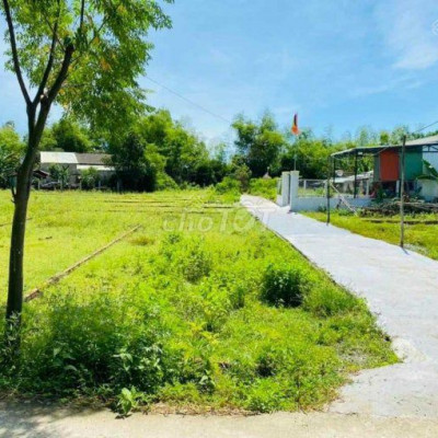 ĐẤT ĐIỆN TIẾN GIÁ CHỈ 70tr BETONG 3m