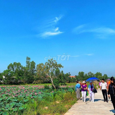 Bắt đáy BDS ven ĐN-QN chỉ từ 4xxtr trục ô tô thông