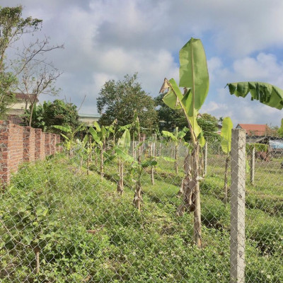 690tr sở hữu ngay 221m2 đất Điện Tiến