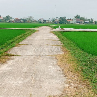 500M2 ĐẤT CÂY LÂU NĂM ĐIỆN TIẾN,ĐƯỜNG Ô TÔ THÔNG