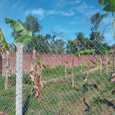 Châu Sơn-Điện Tiến đã có sổ đất thổ cư nhà vườn