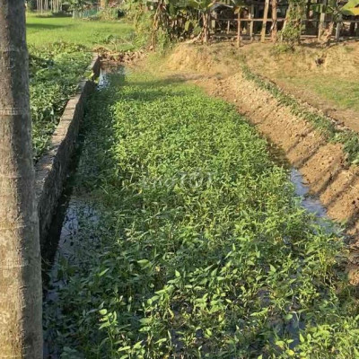 Bán gấp lô đất đẹp 127m2, bên cạnh UBND Xã DT