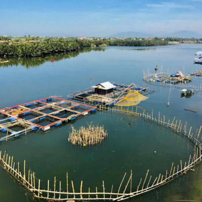 đất ven sông cổ cò Trà Quế