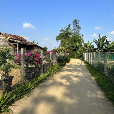 Đất Đại Quang Đại LỘc đường bê tông 3m giá 480tr.