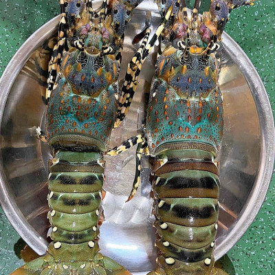 2 mặt tiền sát biển bình minh thăng bình quảng nam