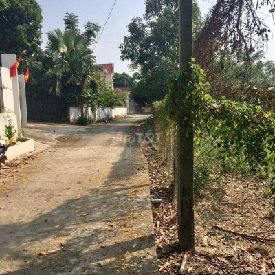 Đất thị xã Điện Bàn giá đầu tư chỉ 455xtr đường 4m