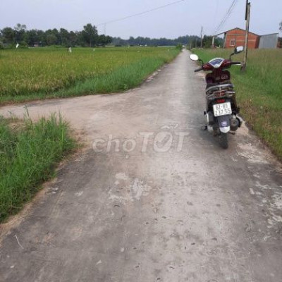 300m2 ĐẤT ĐIỆN TIẾN GIÁ CHỈ 250tr