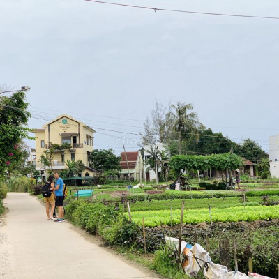 Đất Trung Tâm Làng Rau Trà Quế - Hội An (102m2).