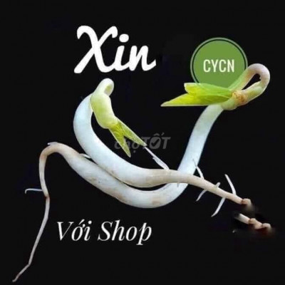 bán nhanh lô đất đường Duy Tân-Phường Vĩnh Điện